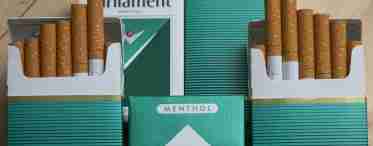 Какие секреты таят в себе ментоловые сигареты?