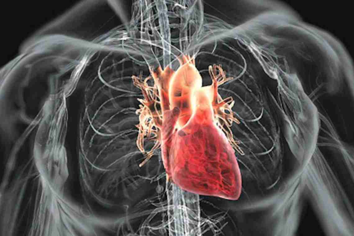 Влияние курения на сердечно-сосудистую систему - особенности и последствия