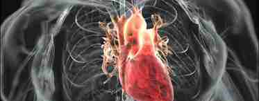 Влияние курения на сердечно-сосудистую систему - особенности и последствия