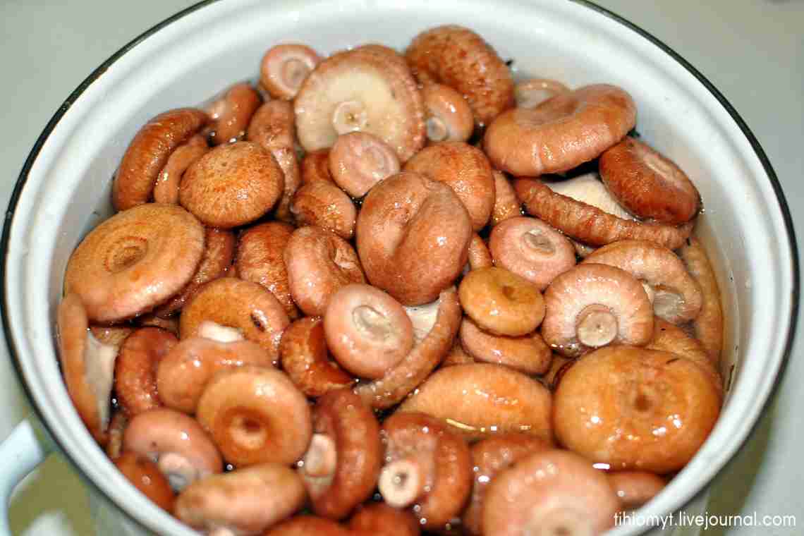 Грибы рыжики как готовить? Советы, как солить грибы рыжики, чтобы они были нежными и вкусными