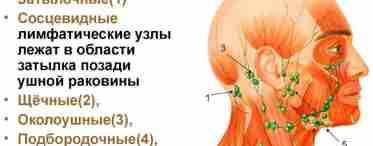 Болезнь Литтля: описание, симптомы, возможные причины, лечение