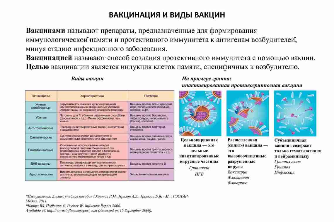 Синдромы шизофрении: виды и характеристика. Симптомы, лечение и профилактика заболевания