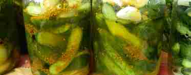 Вкусные салаты: резаные огурцы в горчице на зиму