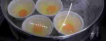 Как варить яйца в мультиварке на пару, в воде и в виде омлета?