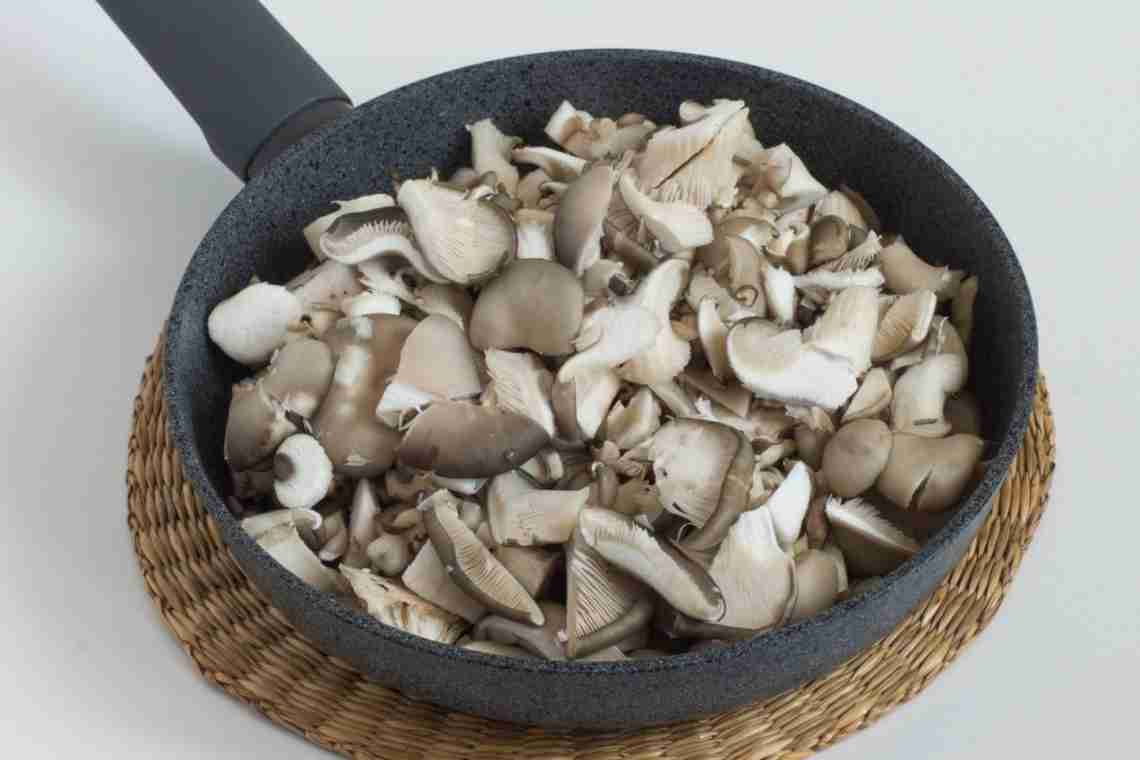Рецепт грибов вешенка. Много блюд из простого продукта