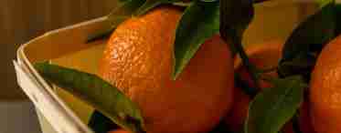 В чем польза апельсинов для здоровья