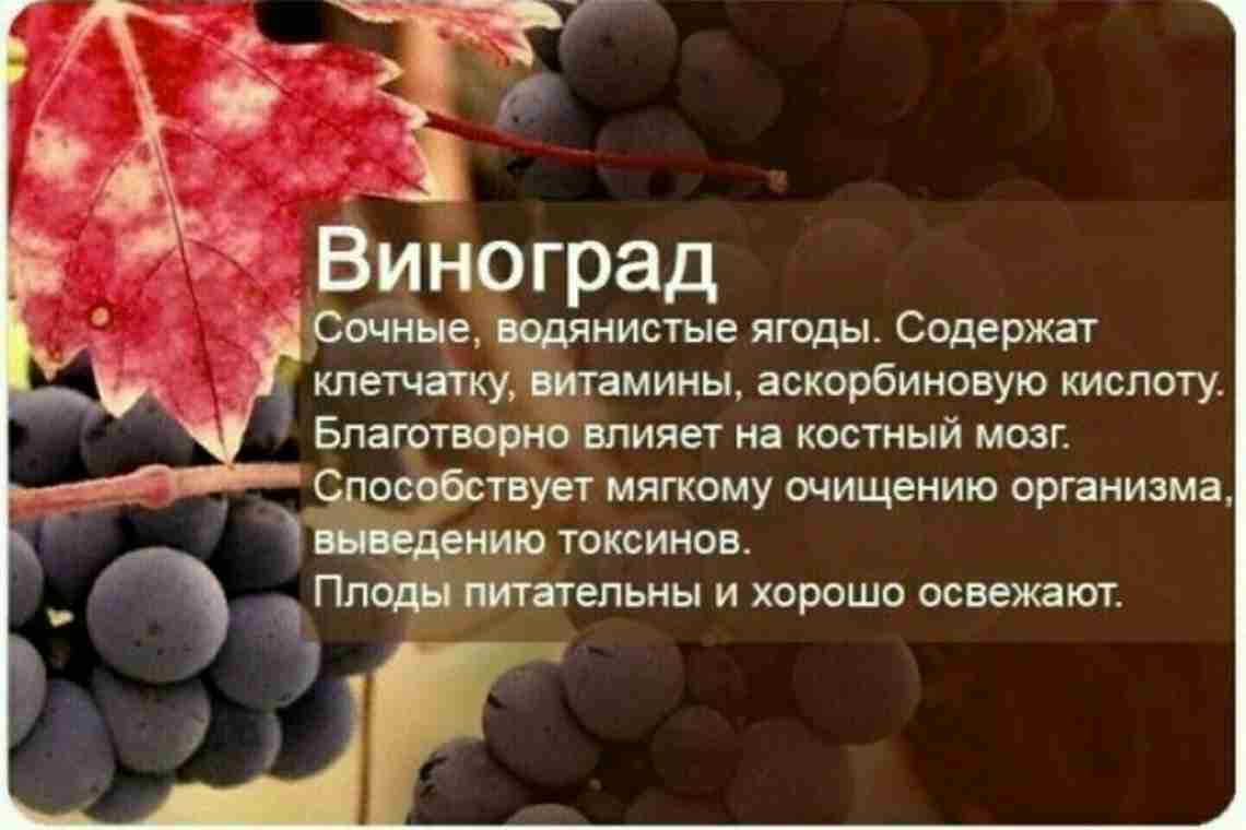 Почему фрукты полезны