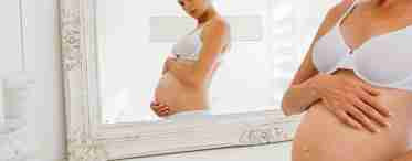 13 мифов о беременности
