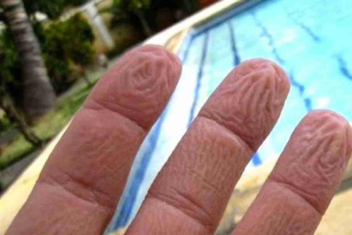 Почему пальцы морщатся от воды