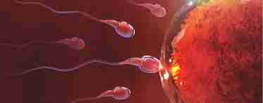 Лейкоциты в сперме: причины появления и основные способы лечения
