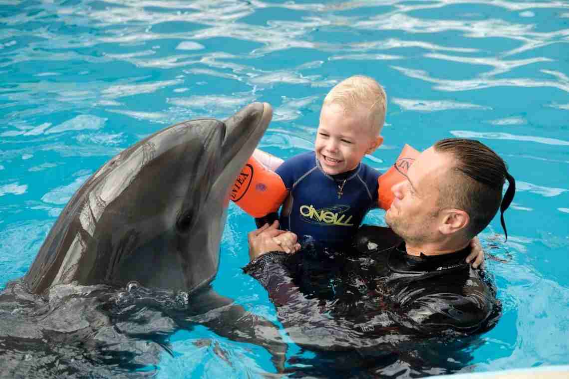 Дельфинотерапия в Крыму: описание, особенности, результаты и отзывы