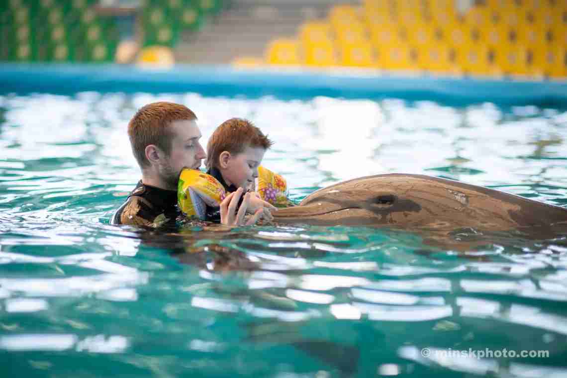 Дельфинотерапия в Анапе – лечение детей и взрослых
