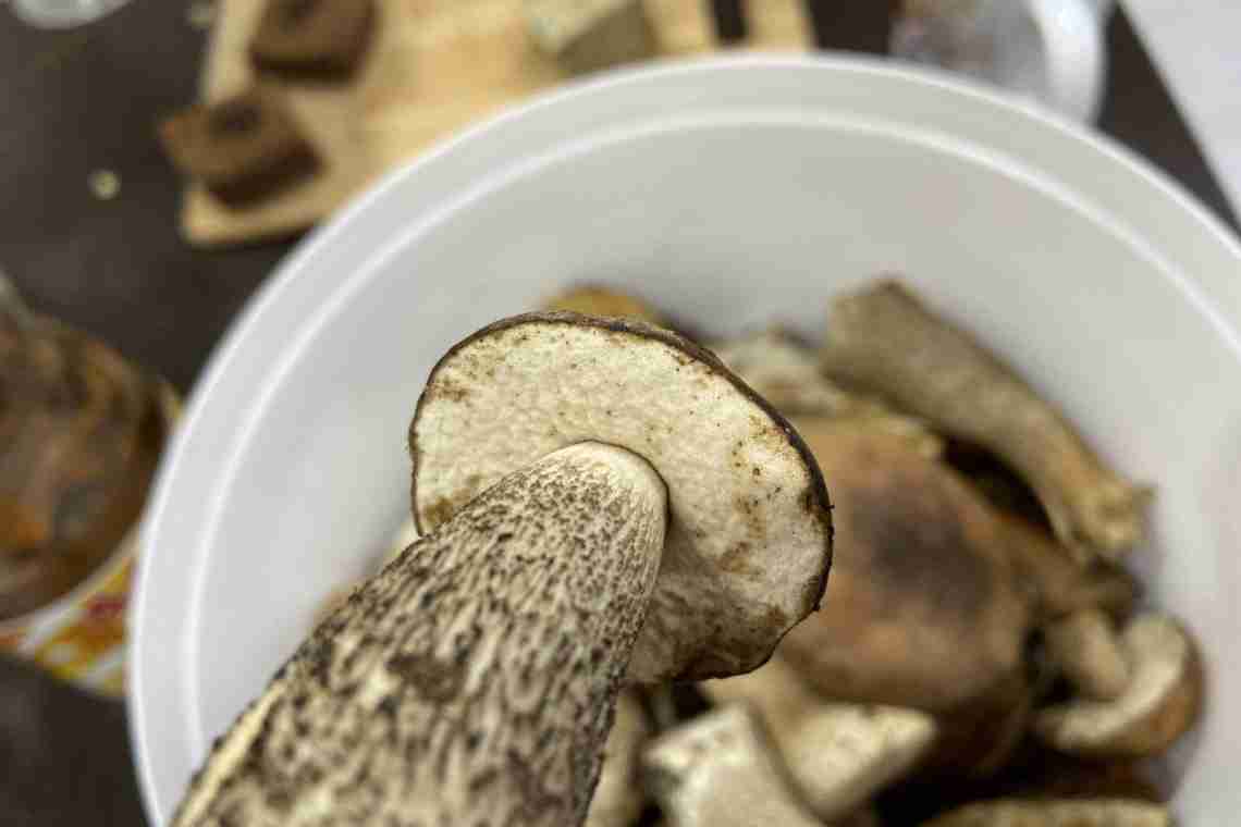 Как приготовить грибы подберезовики