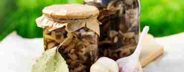Как можно заготовить осенние грибы