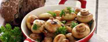 Какие вкусные блюда можно приготовить из грибов