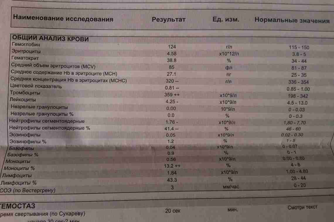 Причины, по которым могут быть базофилы повышены у взрослого