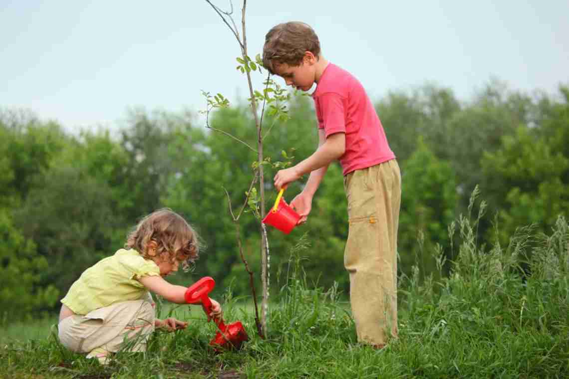 Экологическое воспитание детей: зачем это нужно