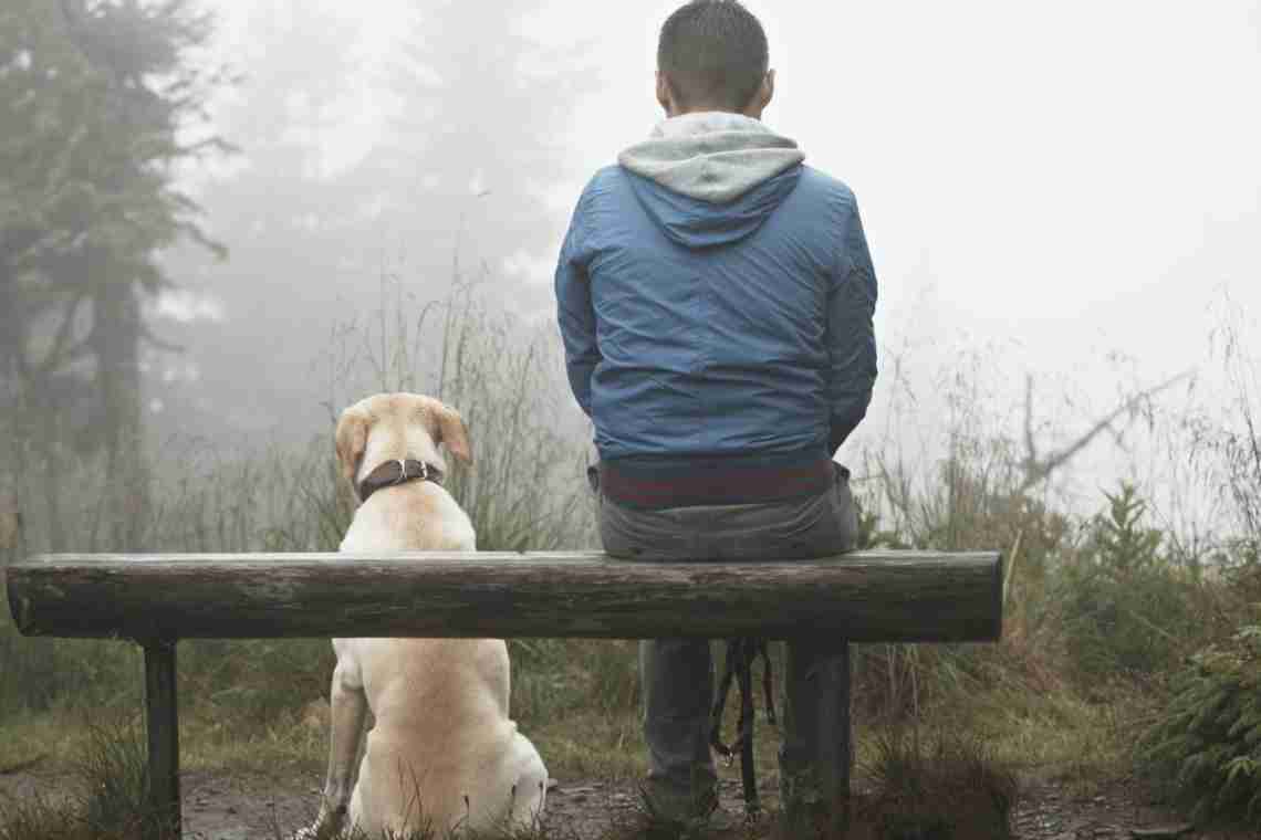 7 пород собак, способных спасти от депрессии и одиночества