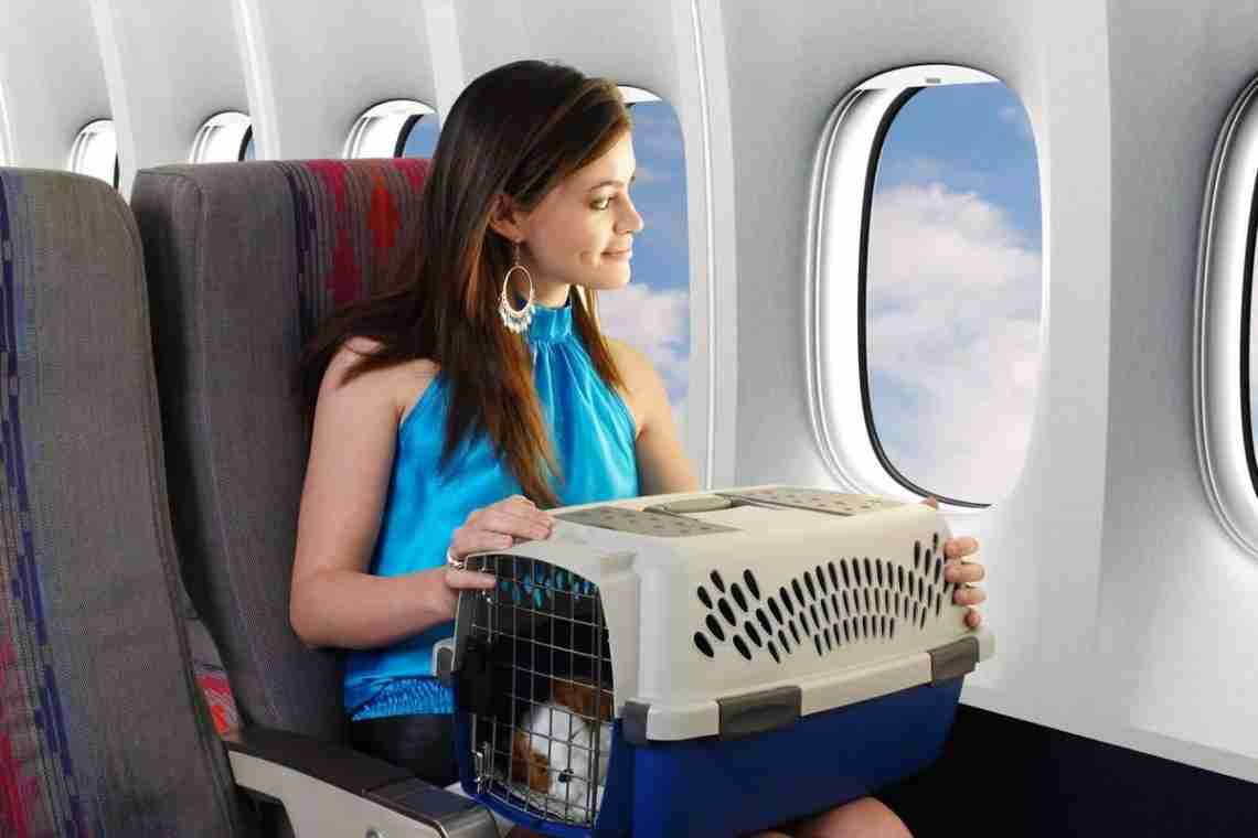 Перевозка животных в самолете