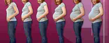 Как выглядит живот на 4 месяце беременности