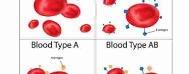 Как узнать группу крови будущего ребенка
