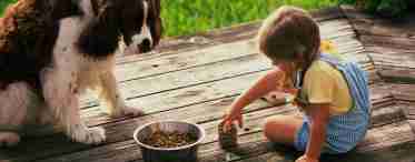 Почему дети любят кормить животных