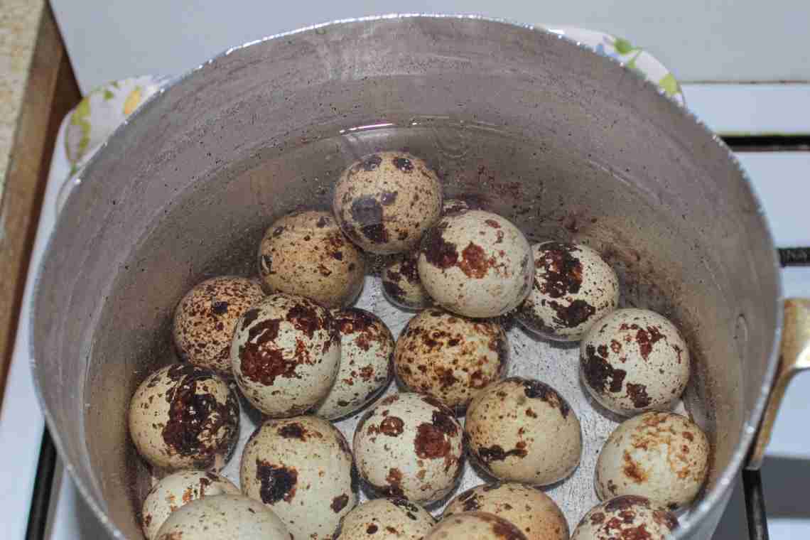 Как варить перепелиные яйца детям
