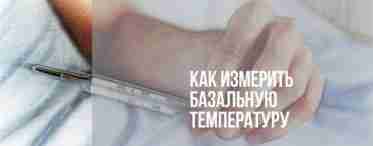 Базальная температура на ранних сроках беременности