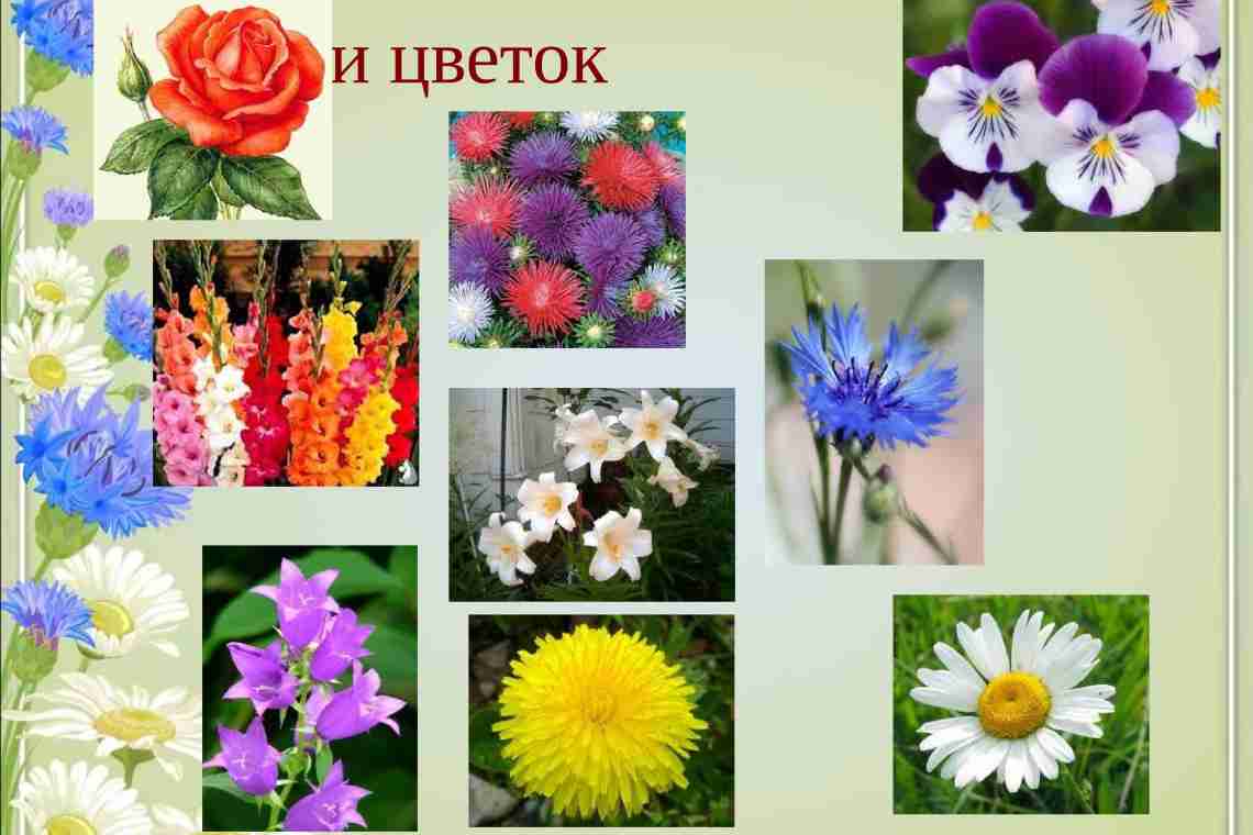 Какие цветы подходят к разным именам