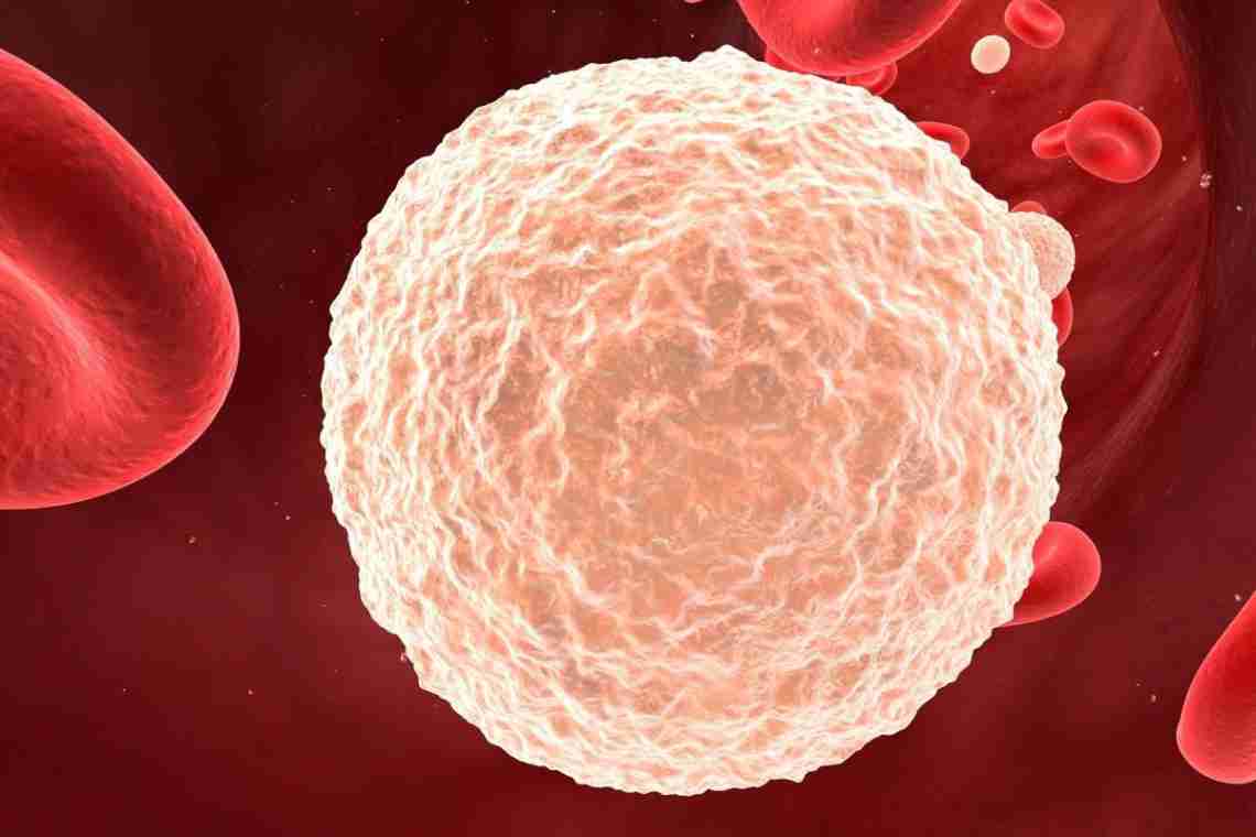Лейкоцитарная формула: категории клеток и клиническое значение