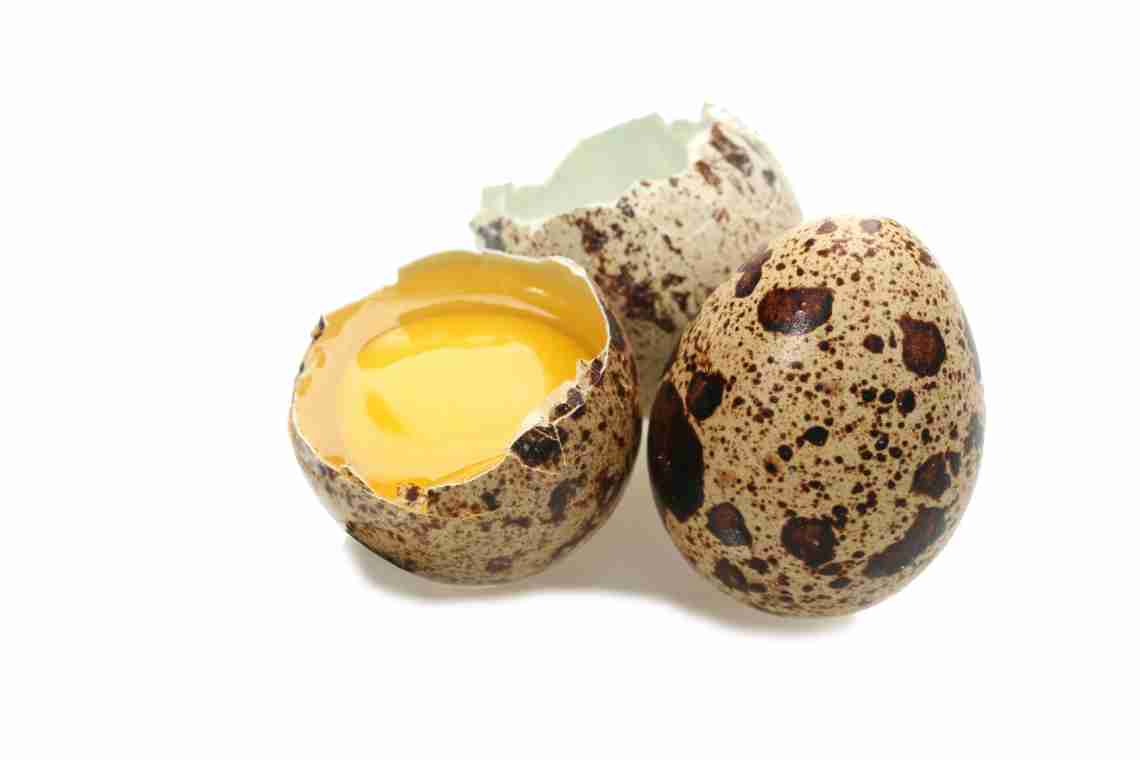 "Перепелиные яйца: сколько калорий в яйце, польза, вред"