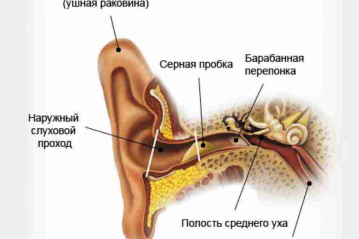 Как вытрясти воду из уха