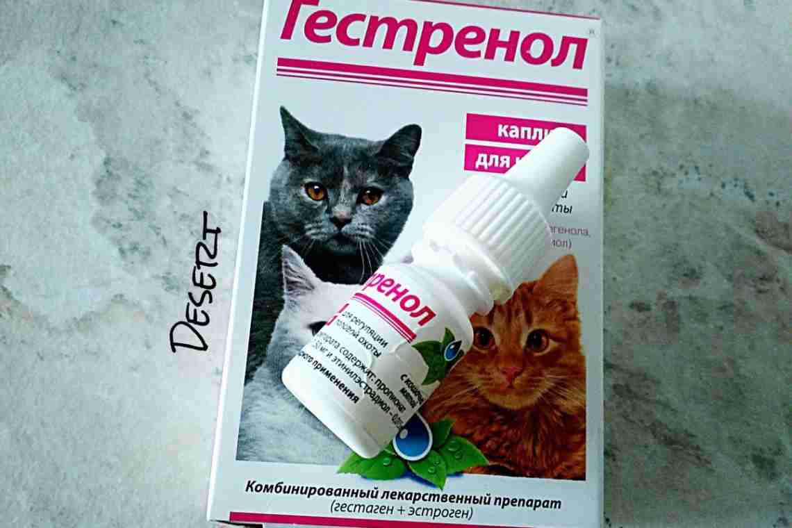 Таблетки для котов от гуляния