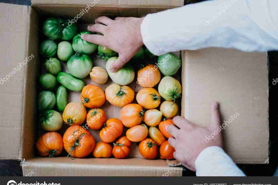 Дозаривание помидоров в домашних условиях