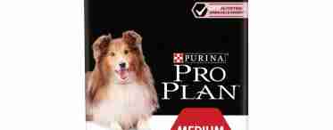 Проплан для собак – основные виды качественного корма и рекомендации по правильной дозировке