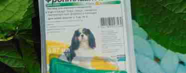 Фронтлайн для собак - эффективное средство против клещей