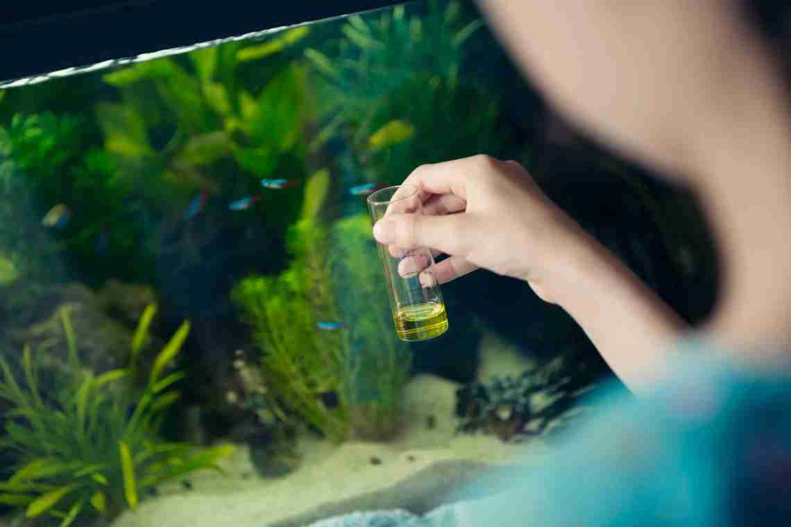 Вода для аквариума - основные приемы создания оптимальных условий