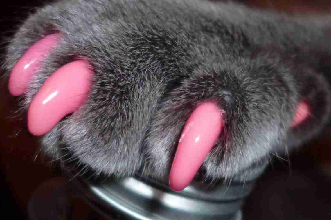 Силиконовые накладки на когти для кошек