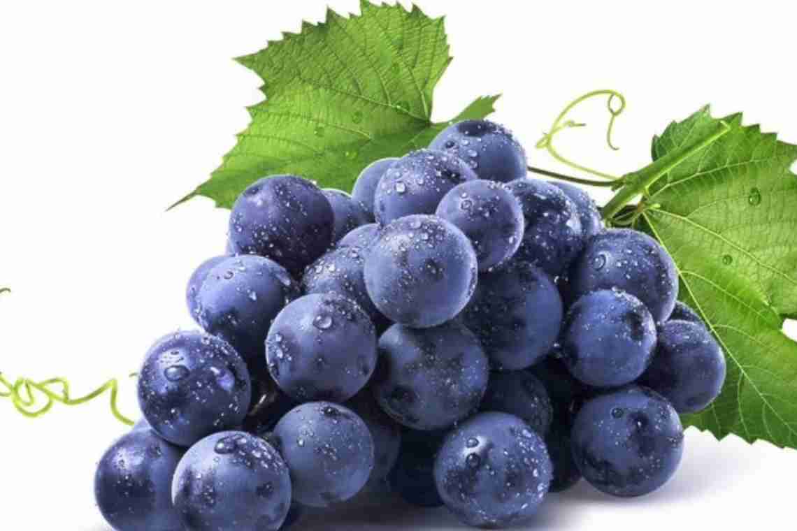 Виноград - це фрукт або ягода