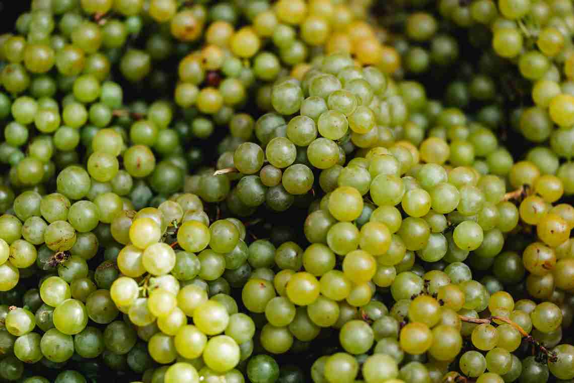 Калорійність Зеленого винограду