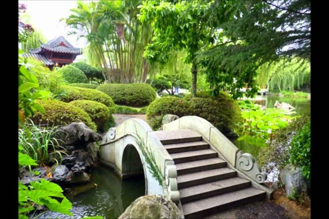 Рослинність у китайському саду