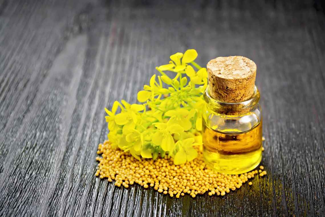 Чим корисна олія з насіння гірчиці?