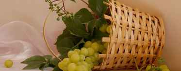 Шарові кошики з кремом і виноградом «» Осіння пора «»