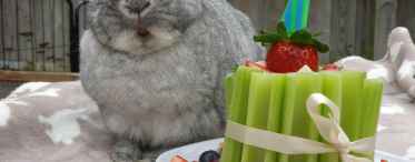 М'ясний торт з кролика